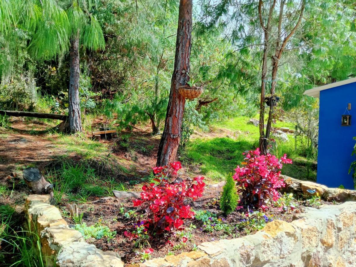 Glamping Blue Otel Guatavita Dış mekan fotoğraf